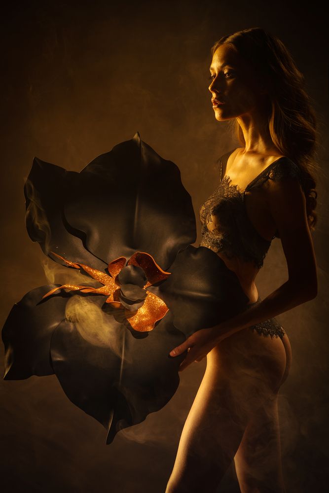 Ночная орхидея / Night orchid