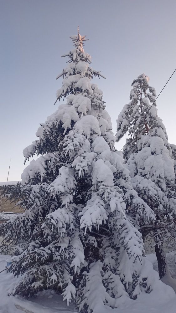 Photograph by Александр Логвинов