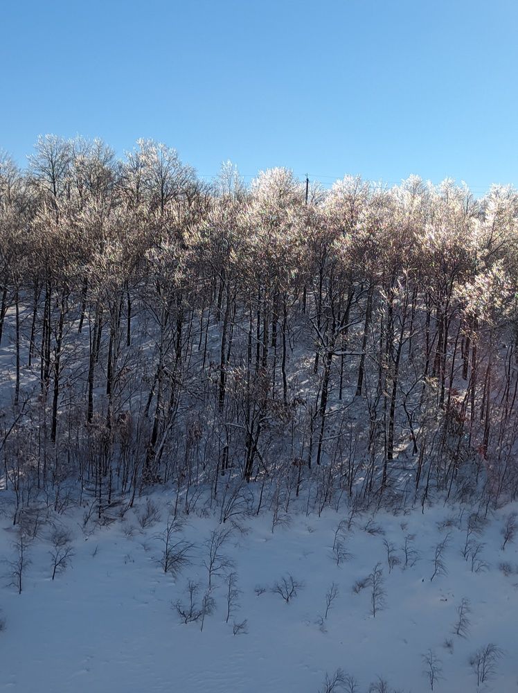 Photo #7089013