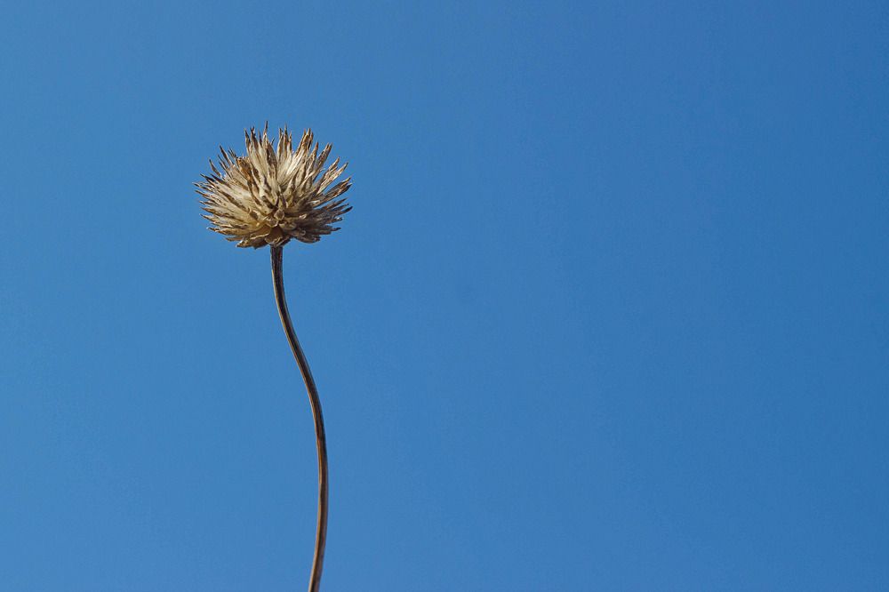 Photograph by Юния Пантелеева