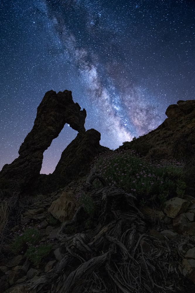 Photograph by Carlos Solinis Camalich