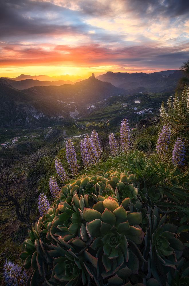 Photograph by Carlos Solinis Camalich