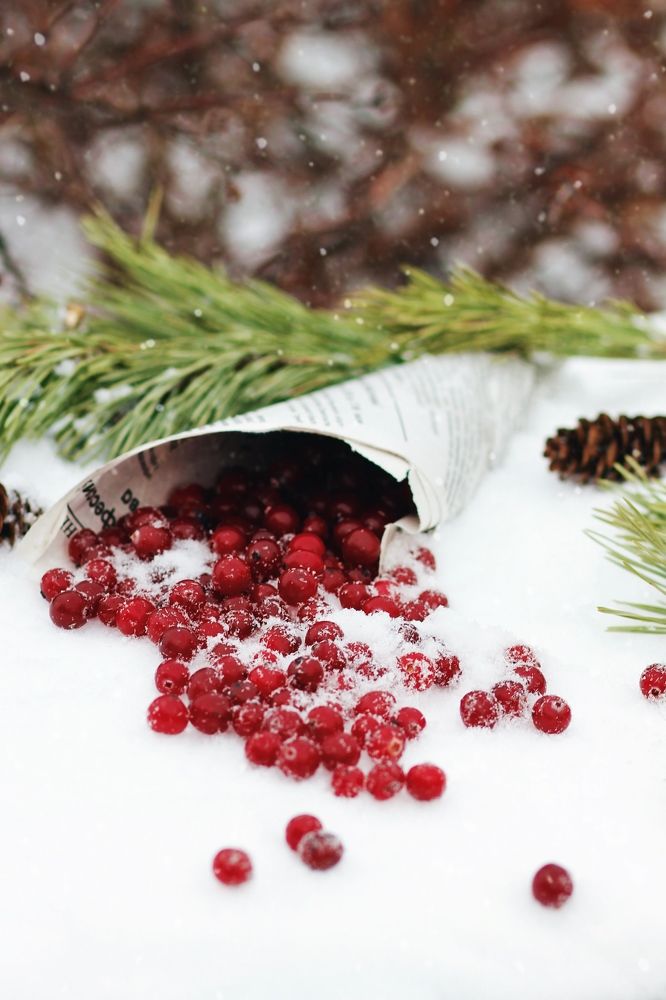 Photograph by Ирина Резнюк