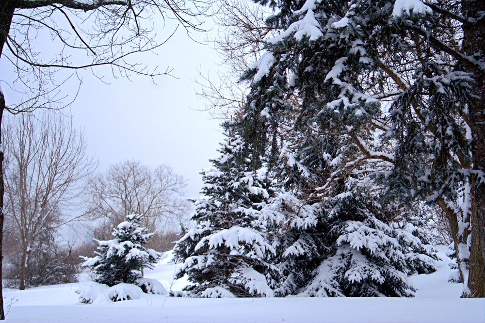 Photograph by Maks315519