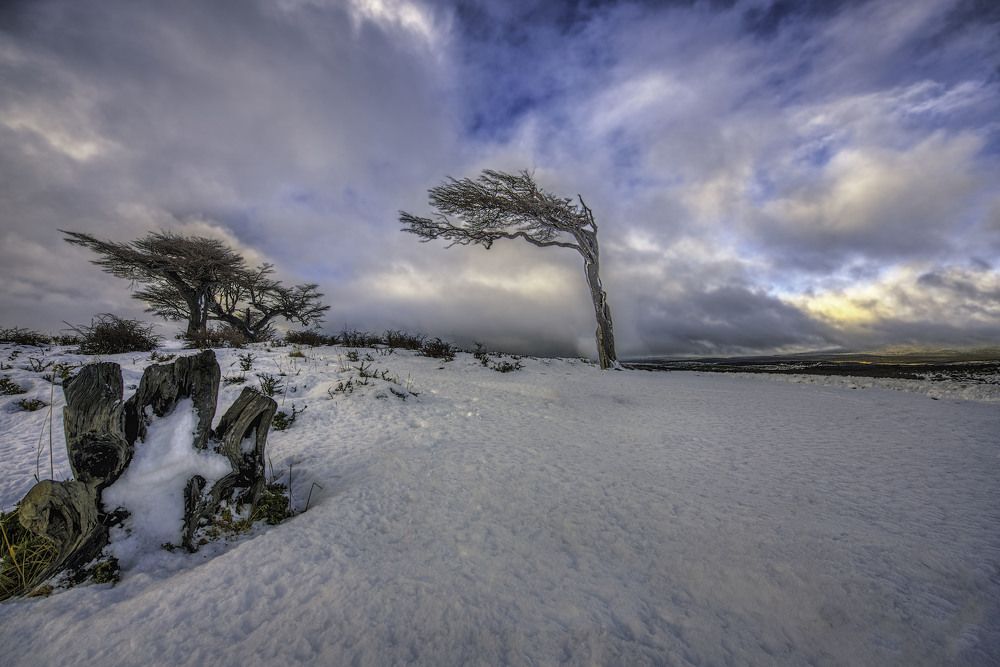 Photograph by Sebastian Vitanza