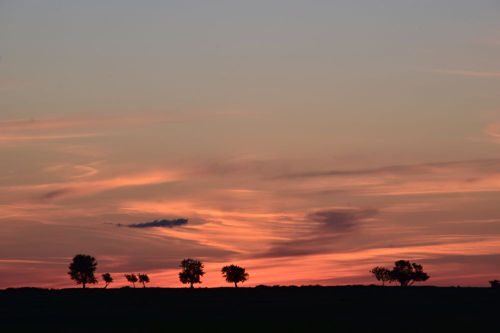 Photograph by Ирина Шабанова