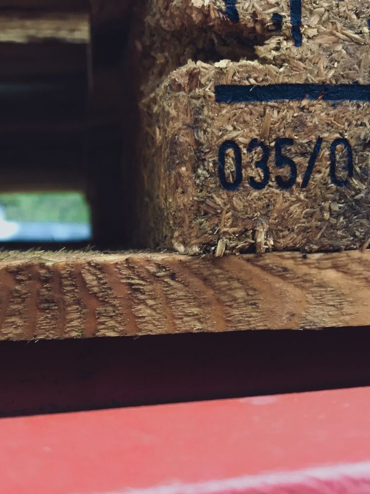 Photograph by Valentina Jegorova