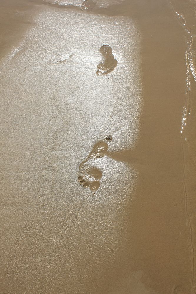 Photograph by Olga Bagaeva