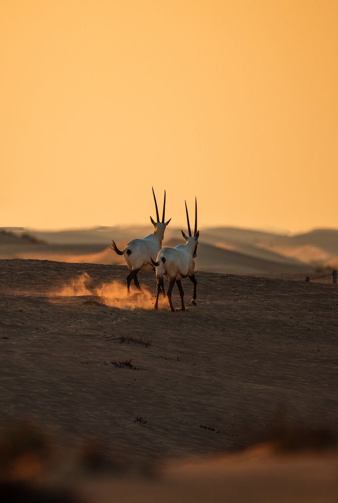 Photograph by Zubair Irshad