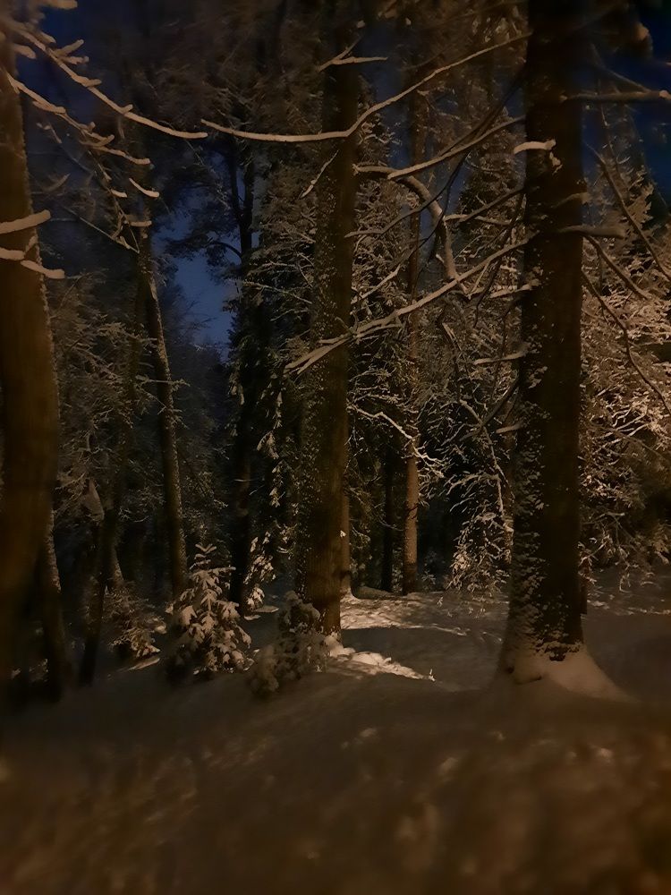 Photograph by Игорь