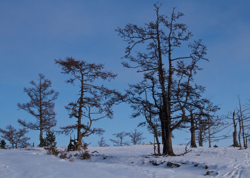 Photograph by Алёна Гильмуллина