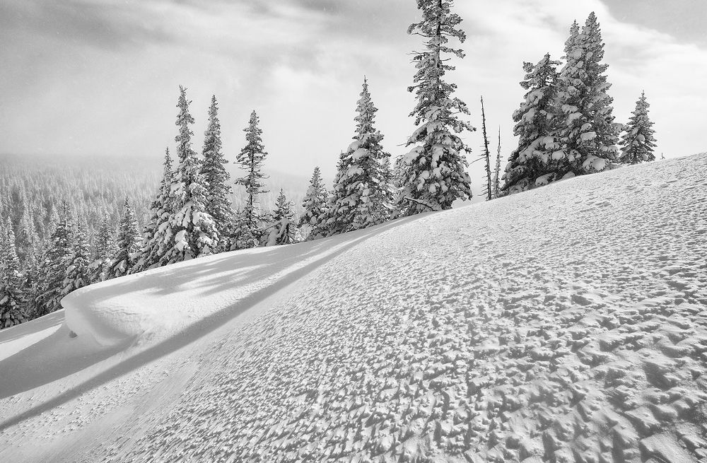 Фотография автора Сергей Сынтин