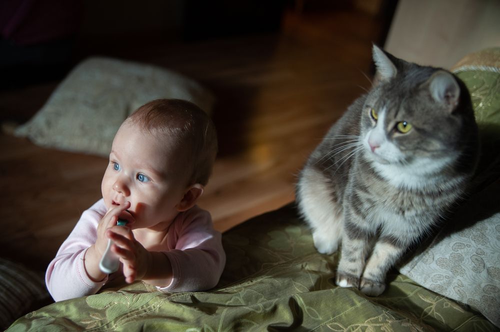 Photograph by Николай Абрамов