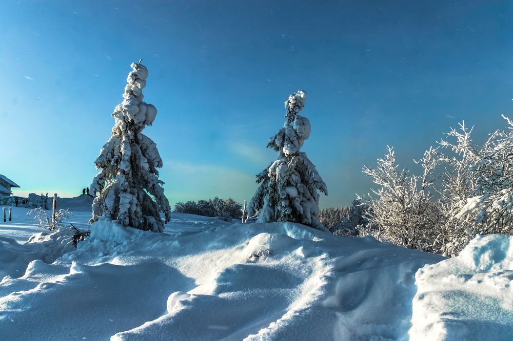 Photograph by Николай Диордиев