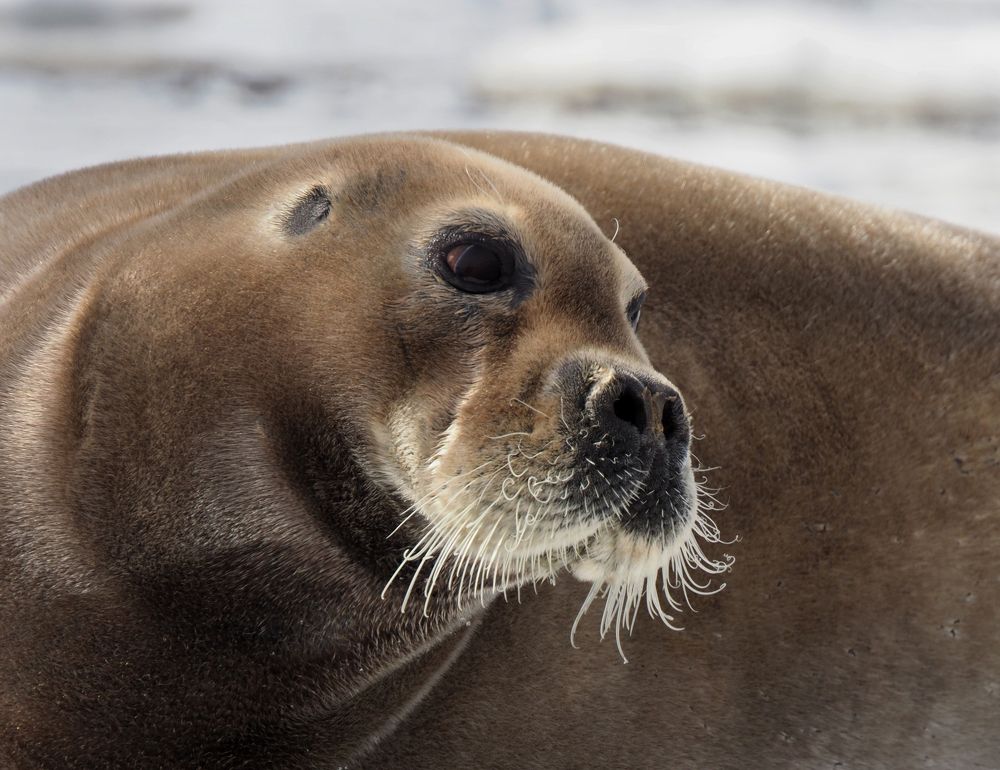 Photograph by Галина Михоношина