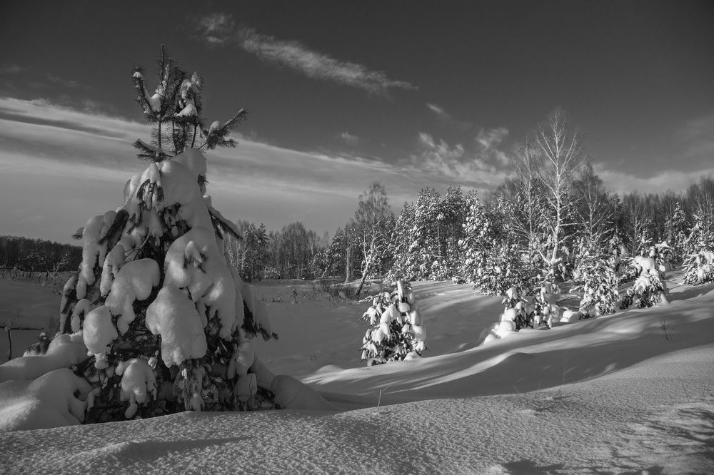 Photograph by Дмитрий Алексеев