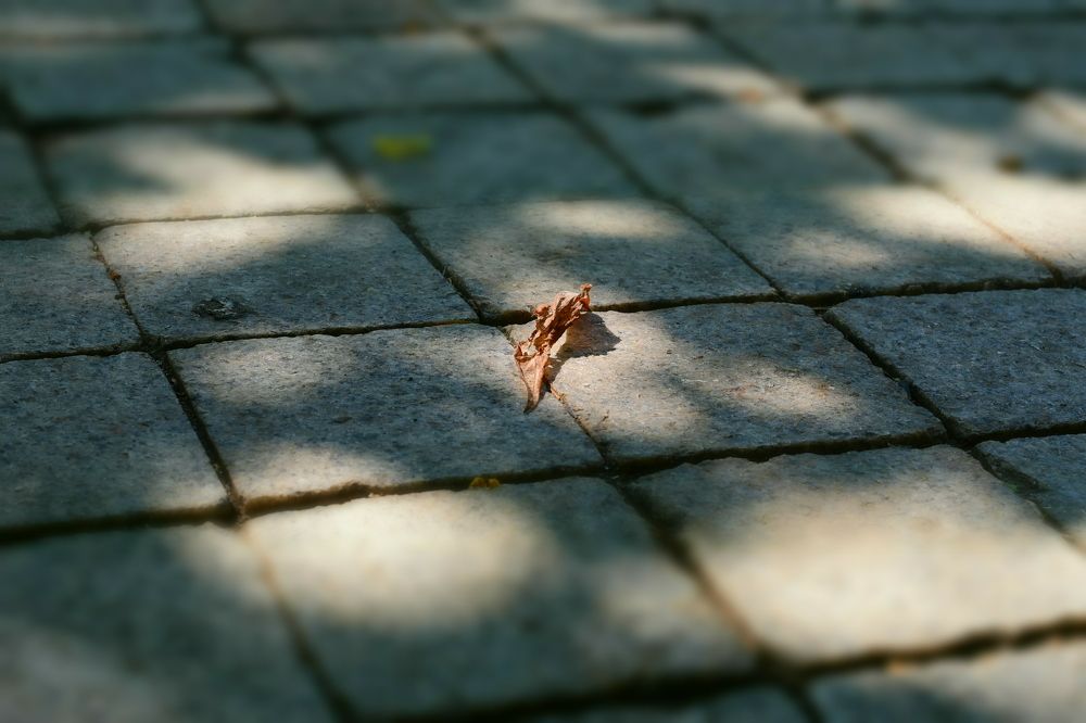 Photograph by Walentyna Sytnik