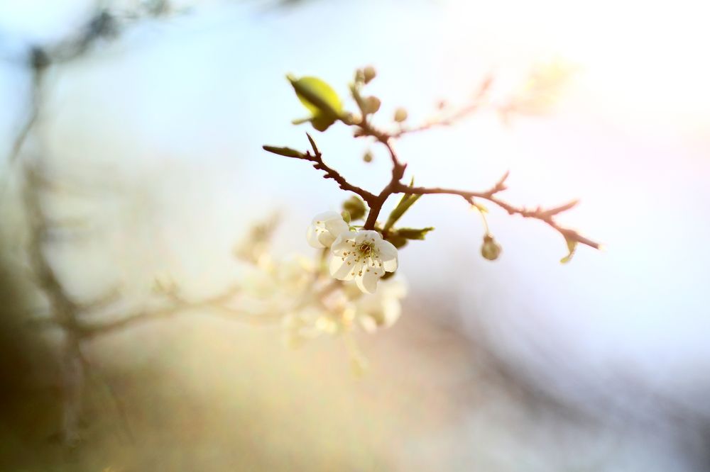 Photograph by Olga Yarovenko