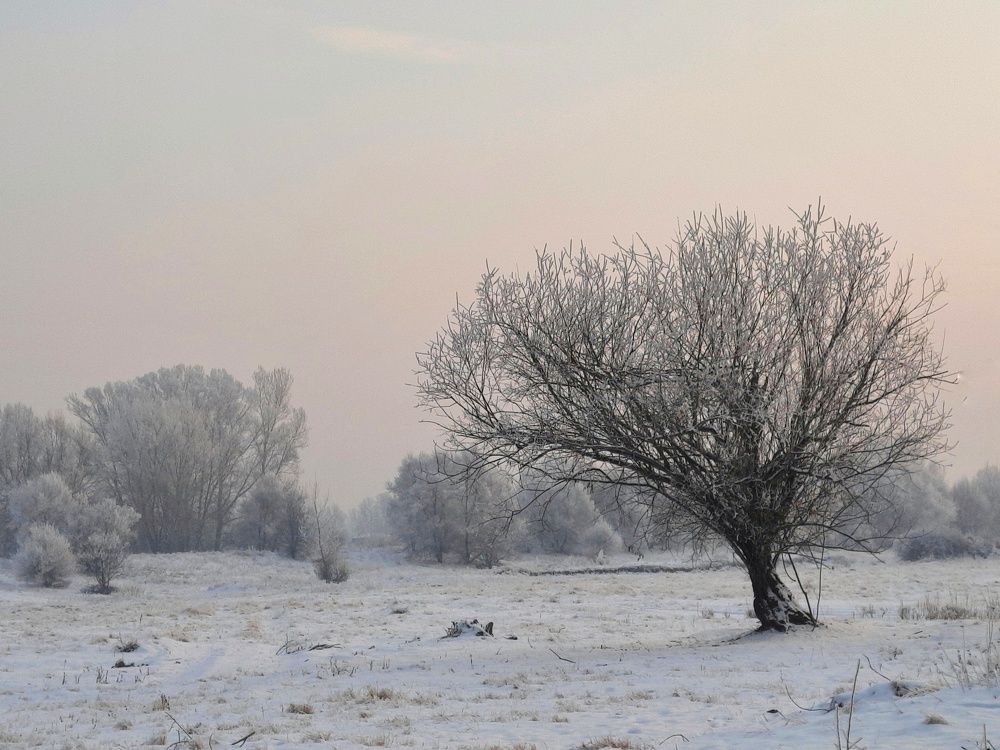 Photograph by Елена Леоненко