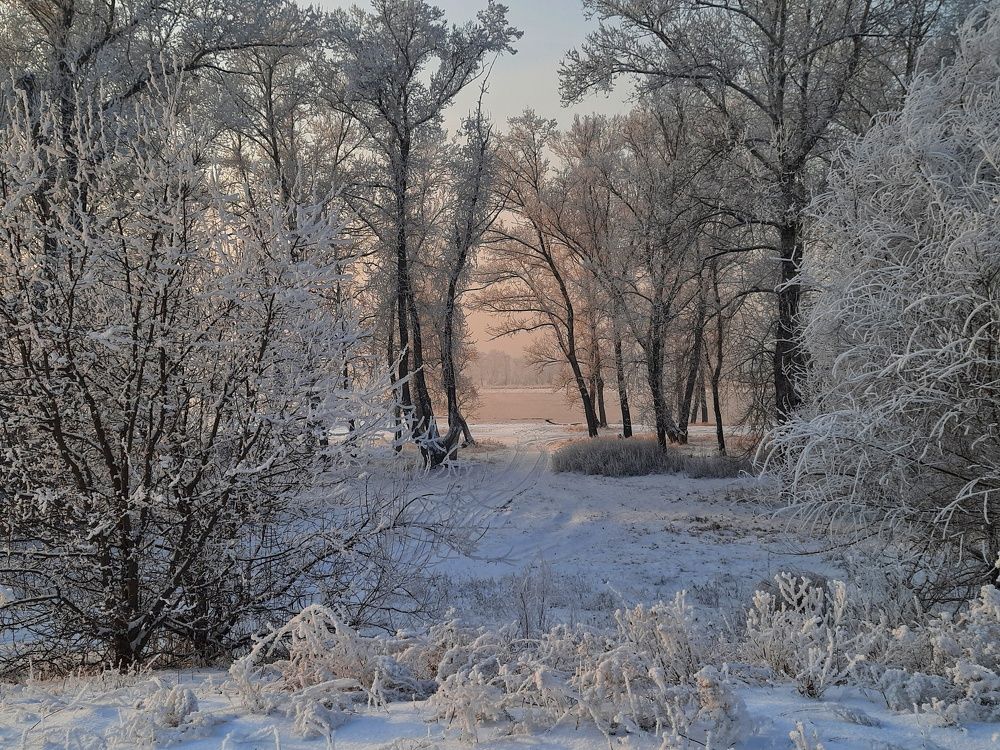 Photo #7089652