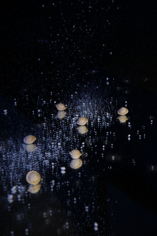 Photograph by Елизавета