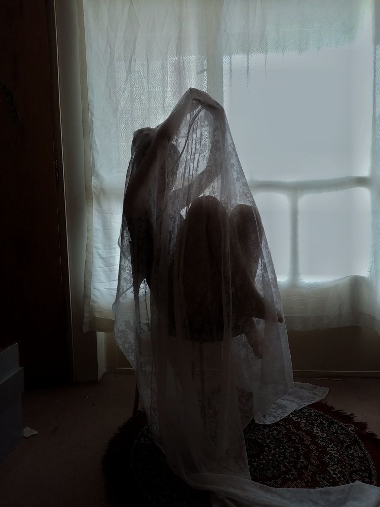 Photograph by niloufar kiyani movahhed