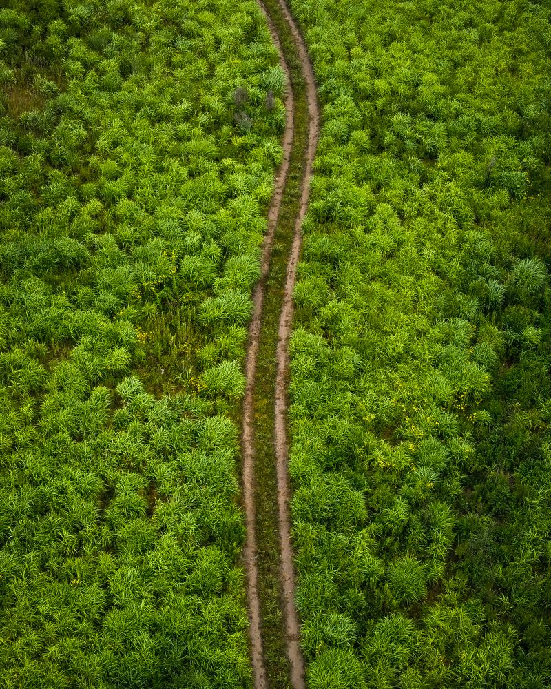 Photograph by Валентин Кольцов