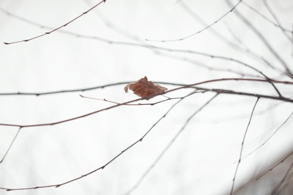 Photograph by Алёна Бондаренко