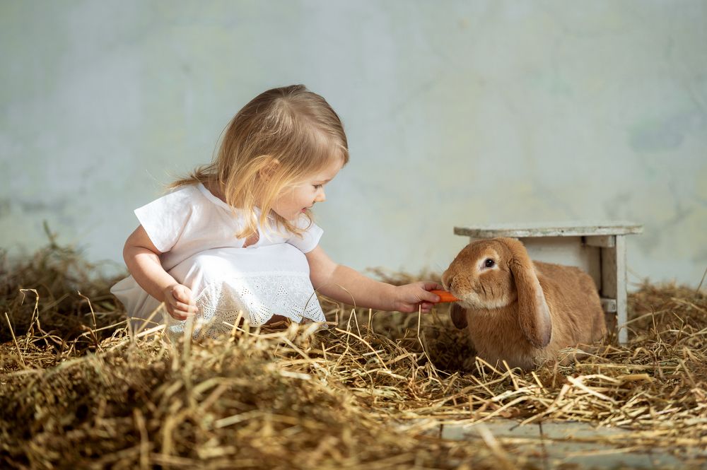 Photograph by Александр Ко