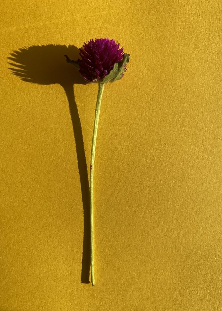 Photograph by Yuliya Trints