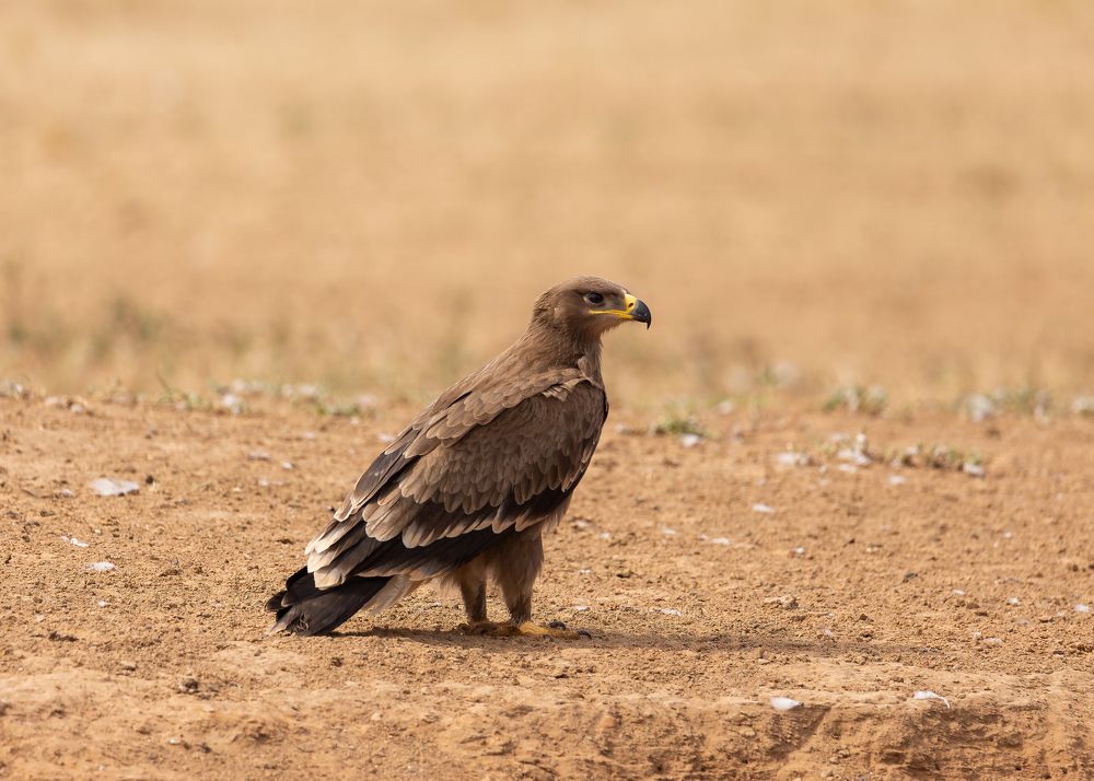 Photograph by Александр Ильин
