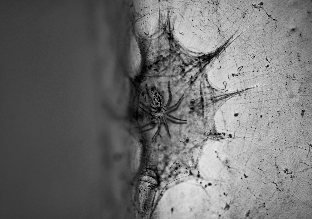 Photograph by shabu joseph