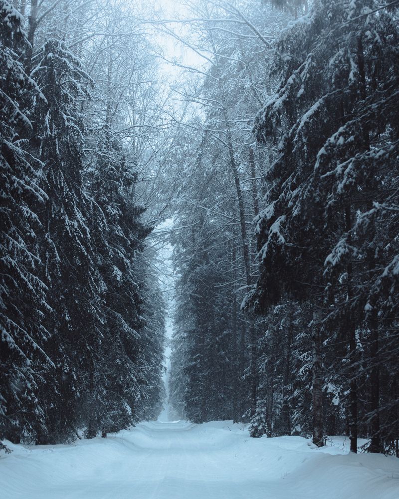 Photograph by Angelina Bukina