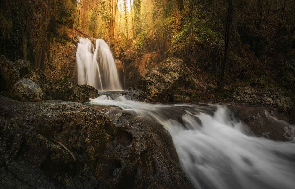 Photograph by JosemaFRoel FACHAL ROEL