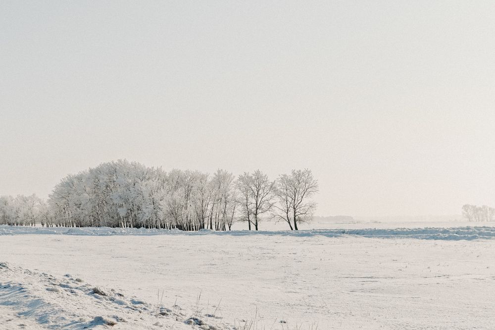 Photograph by Юлия Волкова