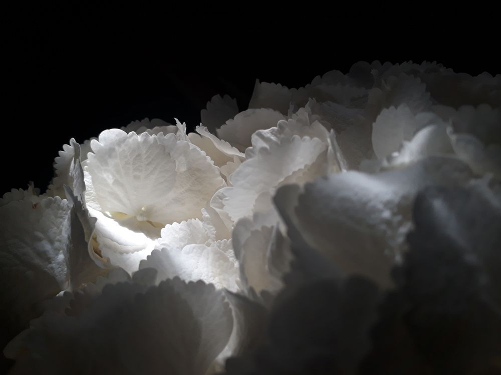 Photograph by Walentyna Sytnik