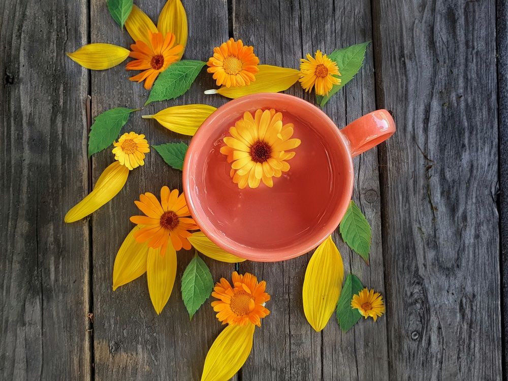 Photograph by Катерина Коханова