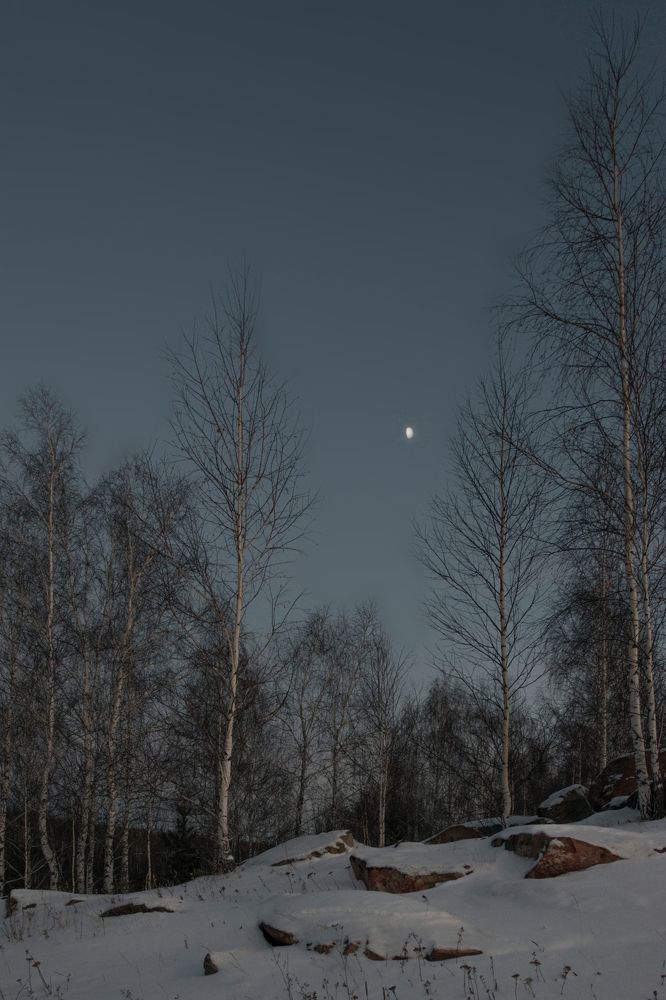 Лунная история...