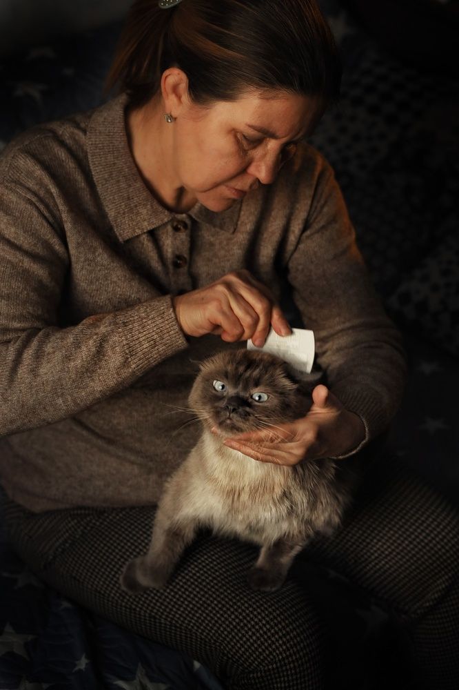 Photograph by Катерина Коханова