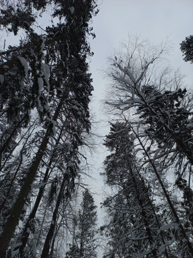 Фотография автора Яна Соловьёва