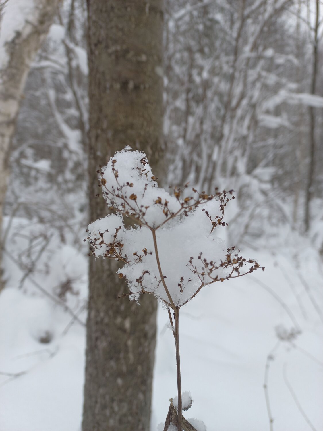 Photo #7090280