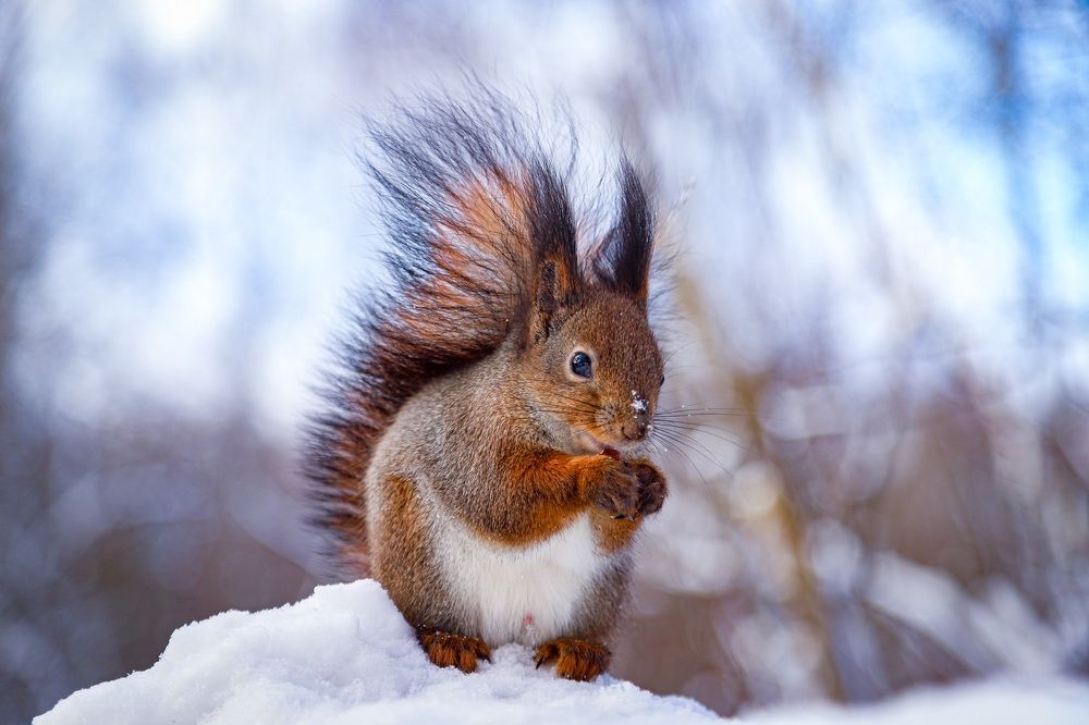 Photograph by Наталья Шапиева