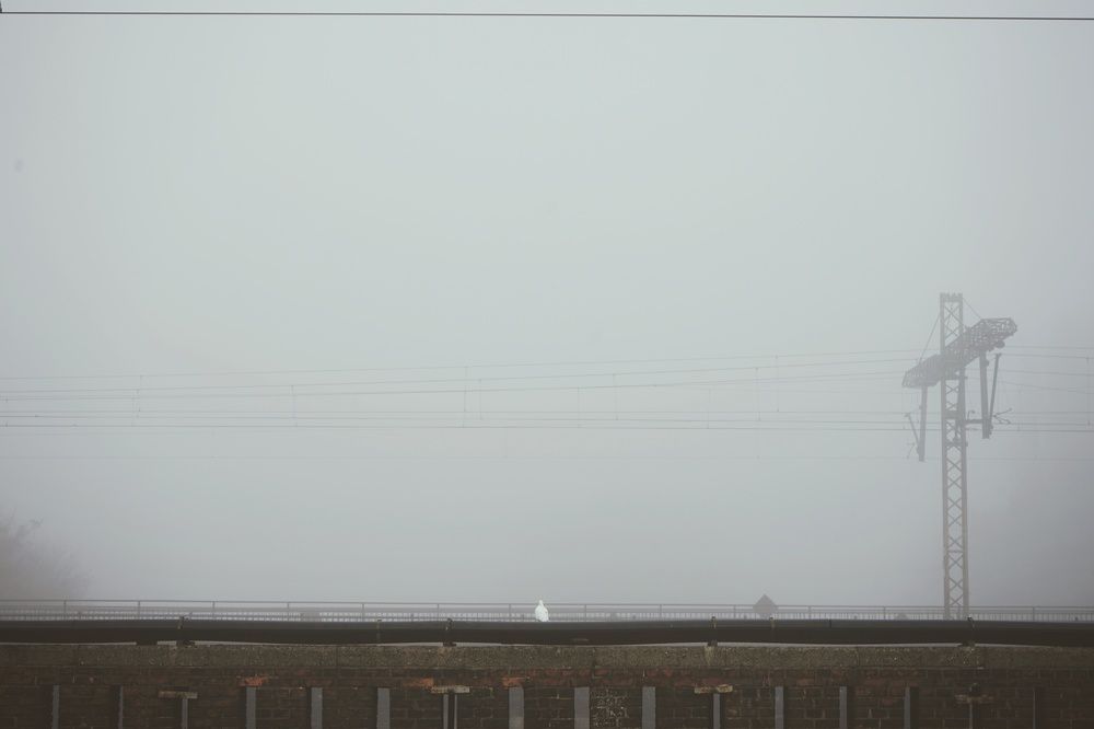 Photograph by Ирина Шпак