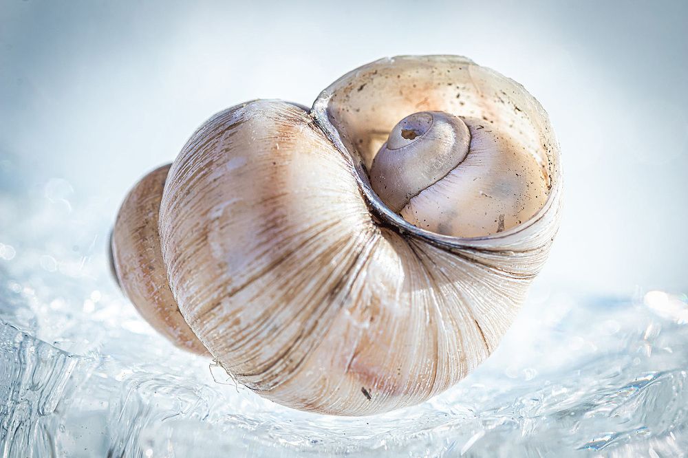 Photograph by Anzela Bazyk