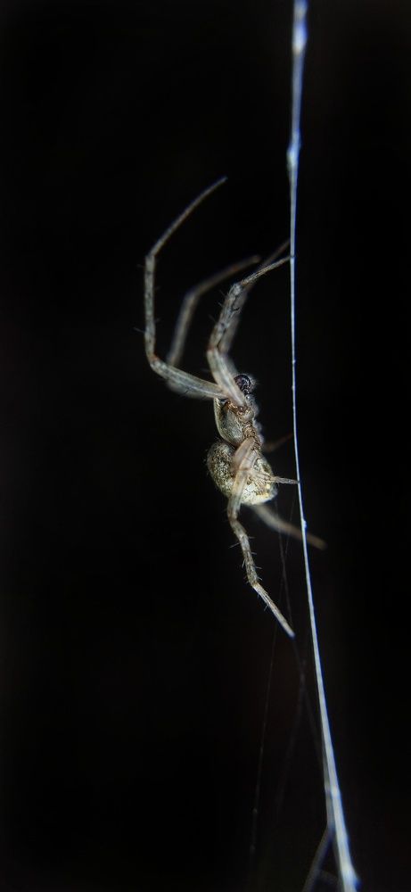 Photograph by Satishkumar Prakash