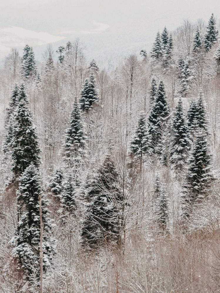 Фотография автора Oxana Yurasova