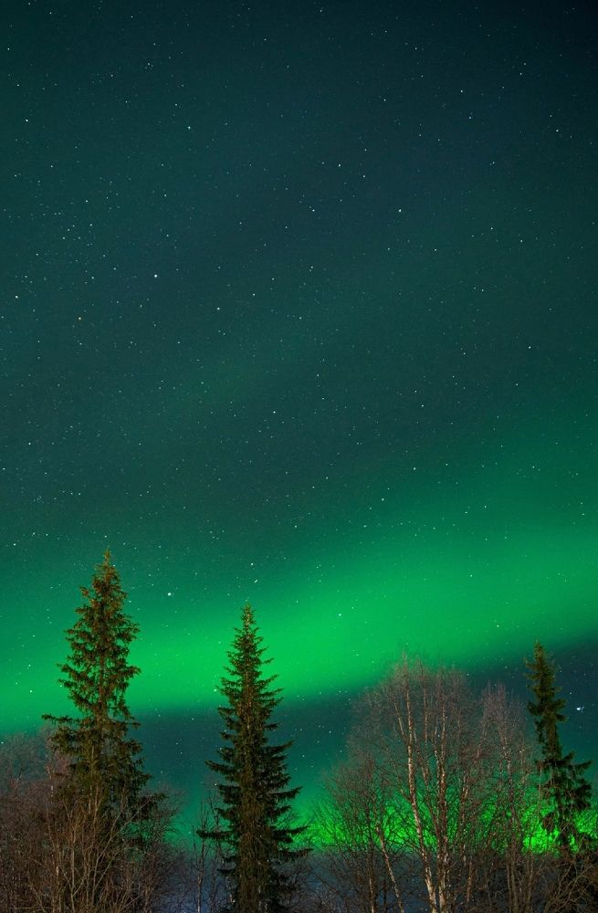 Photograph by Ксения Рябухина