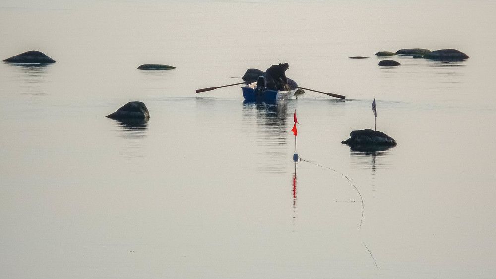 Photograph by Juris Livmanis