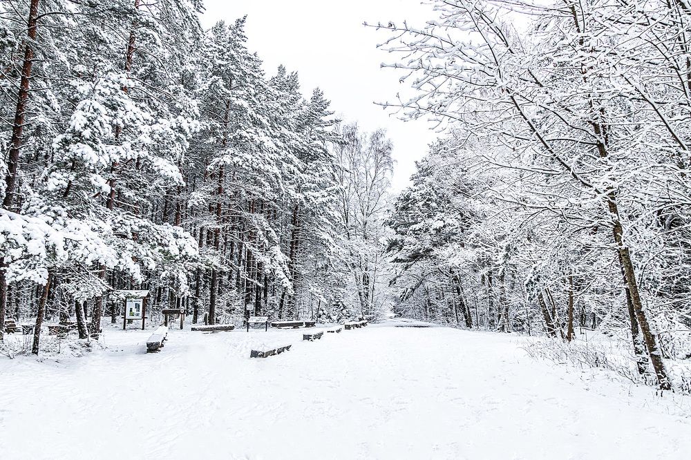 Photograph by Anzela Bazyk