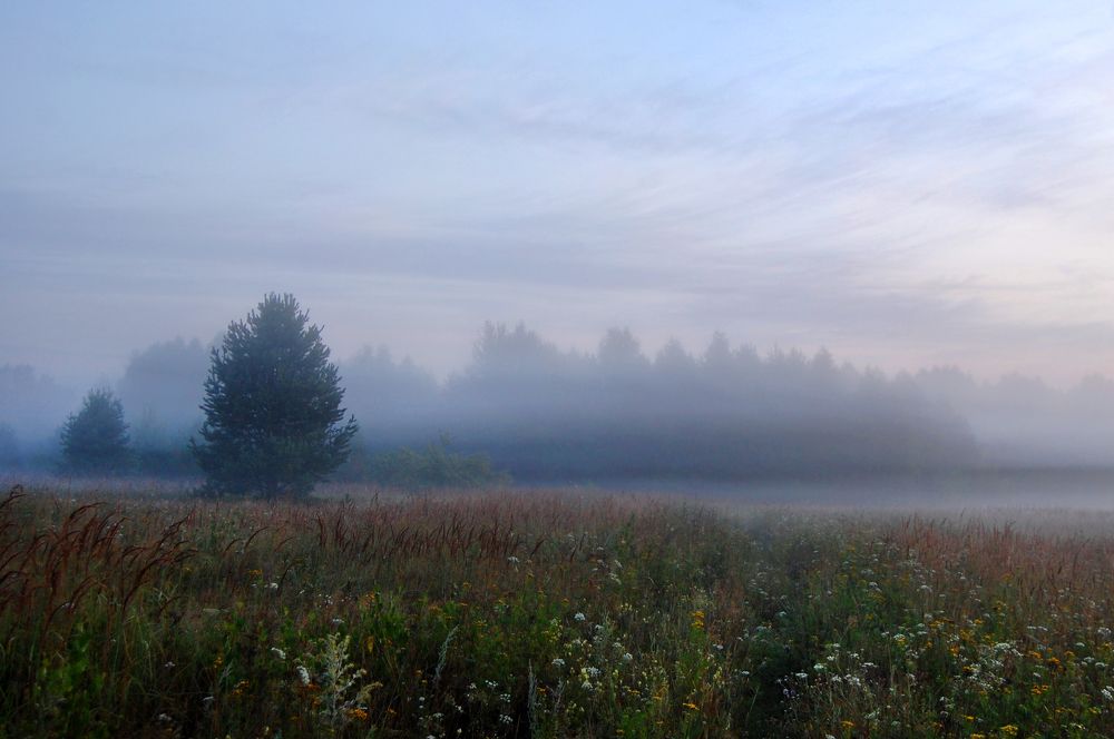 Photograph by Майя Синичкина